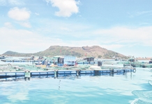Phát triển nuôi biển công nghệ cao