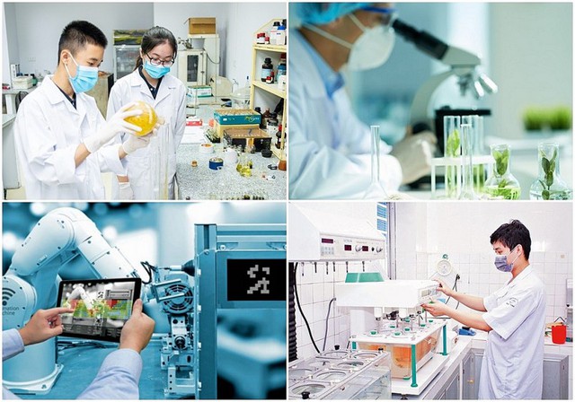 Đảng ủy Các cơ quan Đảng tỉnh chỉ đạo đẩy mạnh phát triển khoa học, công nghệ, đổi mới sáng tạo và chuyển đổi số