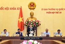 Tránh chồng chéo giữa thanh tra, kiểm tra, kiểm toán