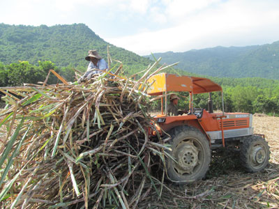 Khánh Hòa: Năm 2016, tổng giá trị sản xuất ngành Nông nghiệp và Phát triển nông thôn ước đạt hơn 10.131 tỷ đồng