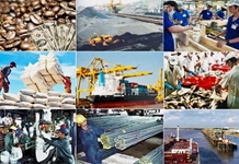 Chương trình hành động thực hiện Nghị quyết 11-NQ/TW của Chính phủ