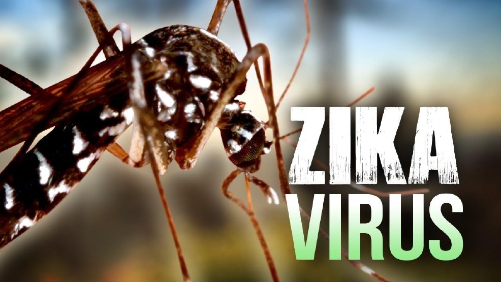 Điều chỉnh nhanh kế hoạch phòng, chống dịch Zika lên cấp độ 2