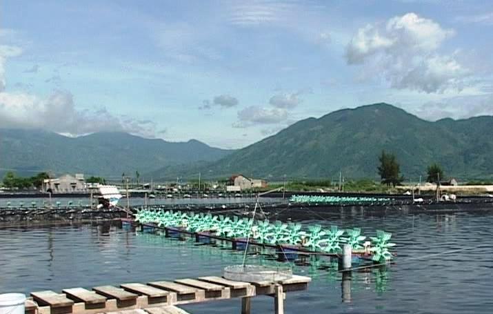 Quy định tạm thời đối với các vùng nuôi trồng thuỷ sản lồng bè trên biển tại địa bàn tỉnh Khánh Hoà