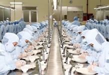 Năm 2021: Nỗ lực phục hồi nền kinh tế