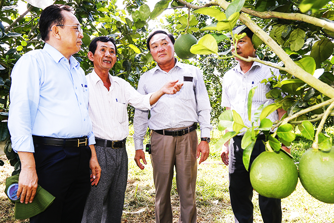 Công nhận 18 sản phẩm OCOP