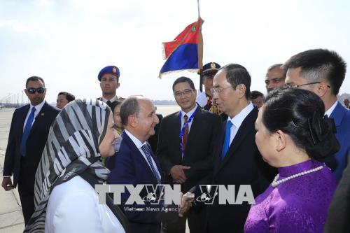 Chủ tịch nước Trần Đại Quang thăm Đại sứ quán Việt Nam tại Ai Cập