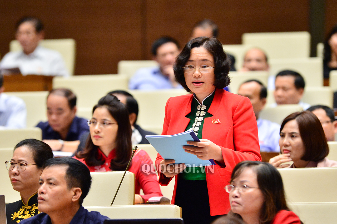 ĐỀ NGHỊ BAN HÀNH NGHỊ QUYẾT CỦA QUỐC HỘI VỀ CHƯƠNG TRÌNH MỤC TIÊU TỔNG THỂ PHÁT TRIỂN KINH TẾ - XÃ HỘI VÙNG DÂN TỘC THIỂU SỐ, MIỀN NÚI