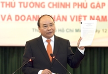 Thủ tướng lắng nghe hiến kế của doanh nghiệp, chuyên gia kiều bào