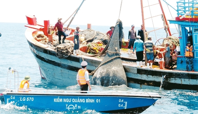 Thành lập Ban Chỉ đạo quốc gia về chống khai thác hải sản bất hợp pháp