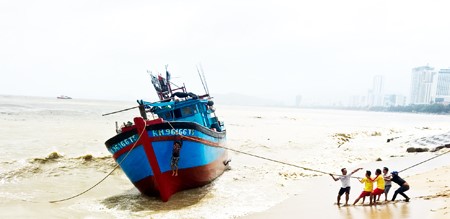Mưa lũ gây thiệt hại
