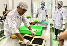 Hỗ trợ phát triển doanh nghiệp khoa học công nghệ