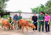 Quân đội với công tác xoá đói, giảm nghèo, nâng cao đời sống Nhân dân theo tư tưởng Hồ Chí Minh