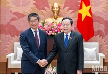 Làm sâu sắc hơn nữa quan hệ Đối tác chiến lược toàn diện Việt Nam-Nhật Bản