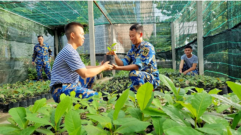 Vâng lời Bác dạy, quân và dân Trường Sa phủ xanh quần đảo