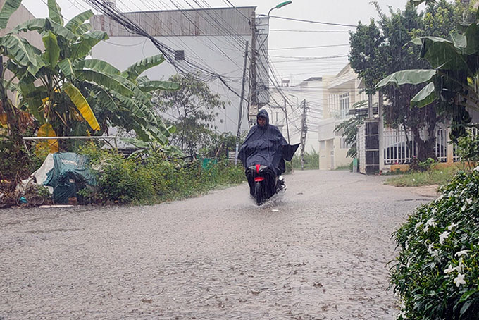 Chủ động ứng phó với mưa lũ 