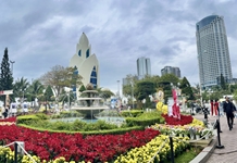 Tết an vui