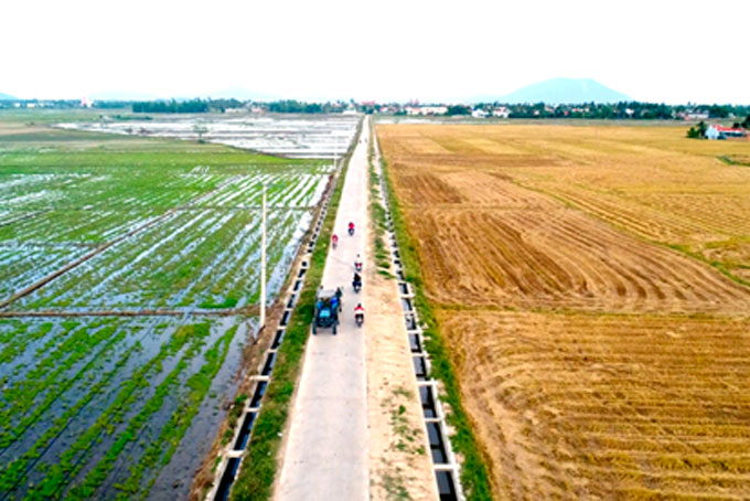 Cơ hội xuất khẩu nông sản chính ngạch
