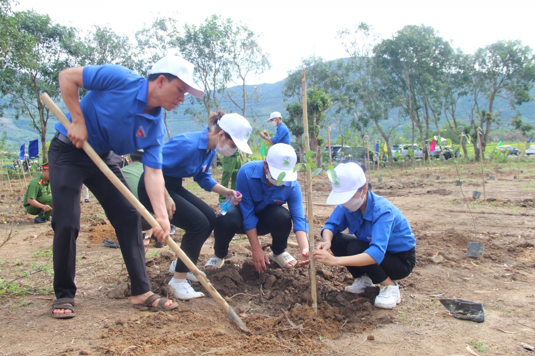 Lễ phát động Tết trồng cây xuân Giáp Thìn 2024 sẽ diễn ra ngày 15-2
