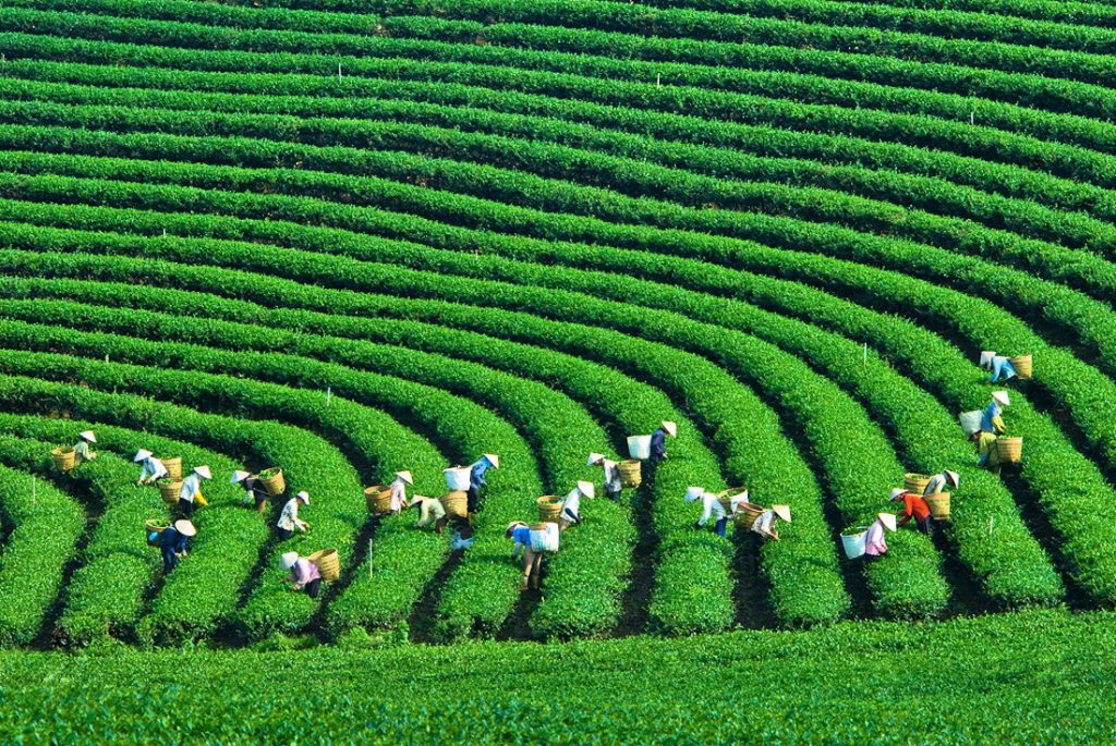 Tư tưởng Hồ Chí Minh về bảo vệ môi trường tự nhiên với phát triển kinh tế xanh và bền vững theo tinh thần Nghị quyết Đại hội XIII của Đảng