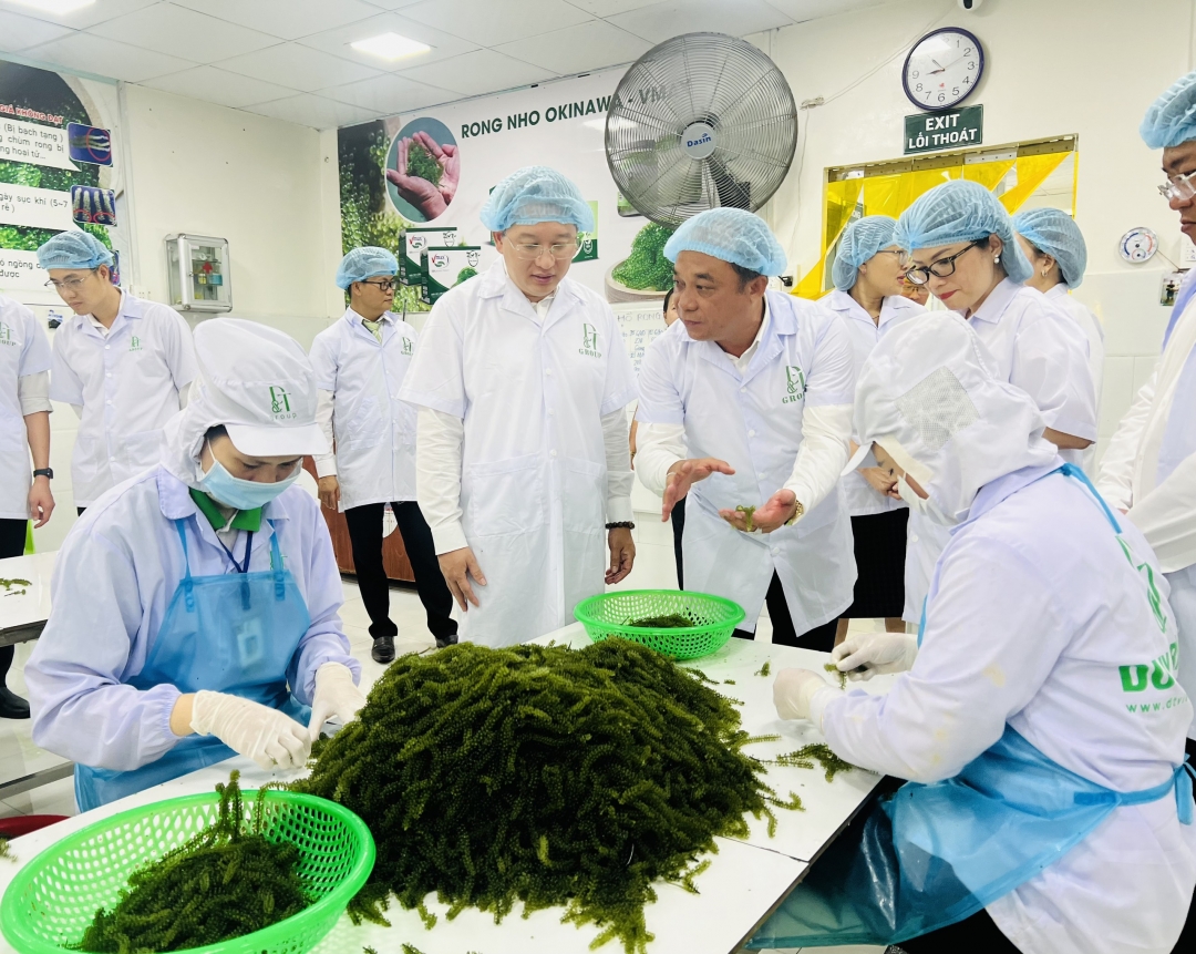 Sản phẩm công nghiệp nông thôn tiêu biểu cấp quốc gia: Cơ hội quảng bá, phát triển thương hiệu