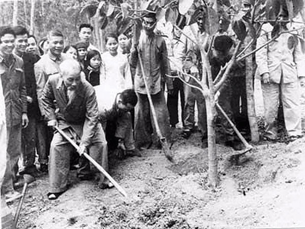 Học tập tư tưởng Hồ Chí Minh về trồng cây, gây rừng, bảo vệ rừng ở nước ta hiện nay