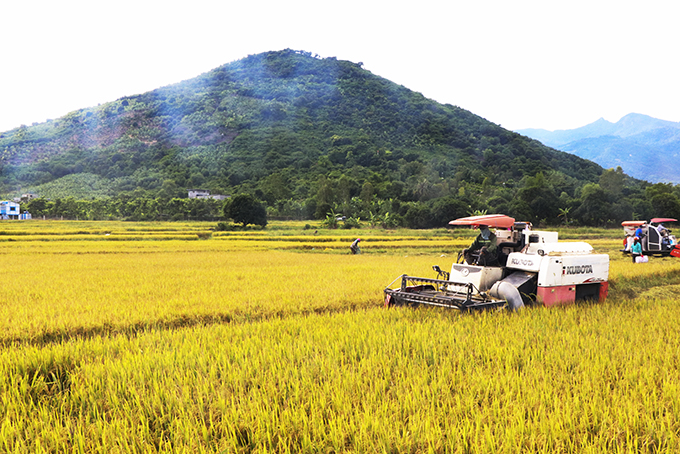 Sức sống mới trên quê hương Đồng khởi