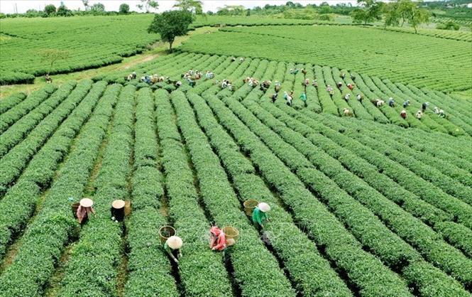 Mục tiêu và đặc điểm của mô hình xây dựng nền kinh tế độc lập, tự chủ gắn với hội nhập quốc tế trong kỷ nguyên số