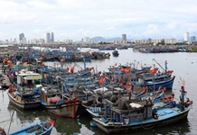 Thủ tướng yêu cầu tập trung ứng phó khẩn cấp với bão số 4