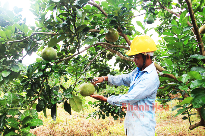 Kỳ 2: Thay đổi cách nghĩ, cách làm