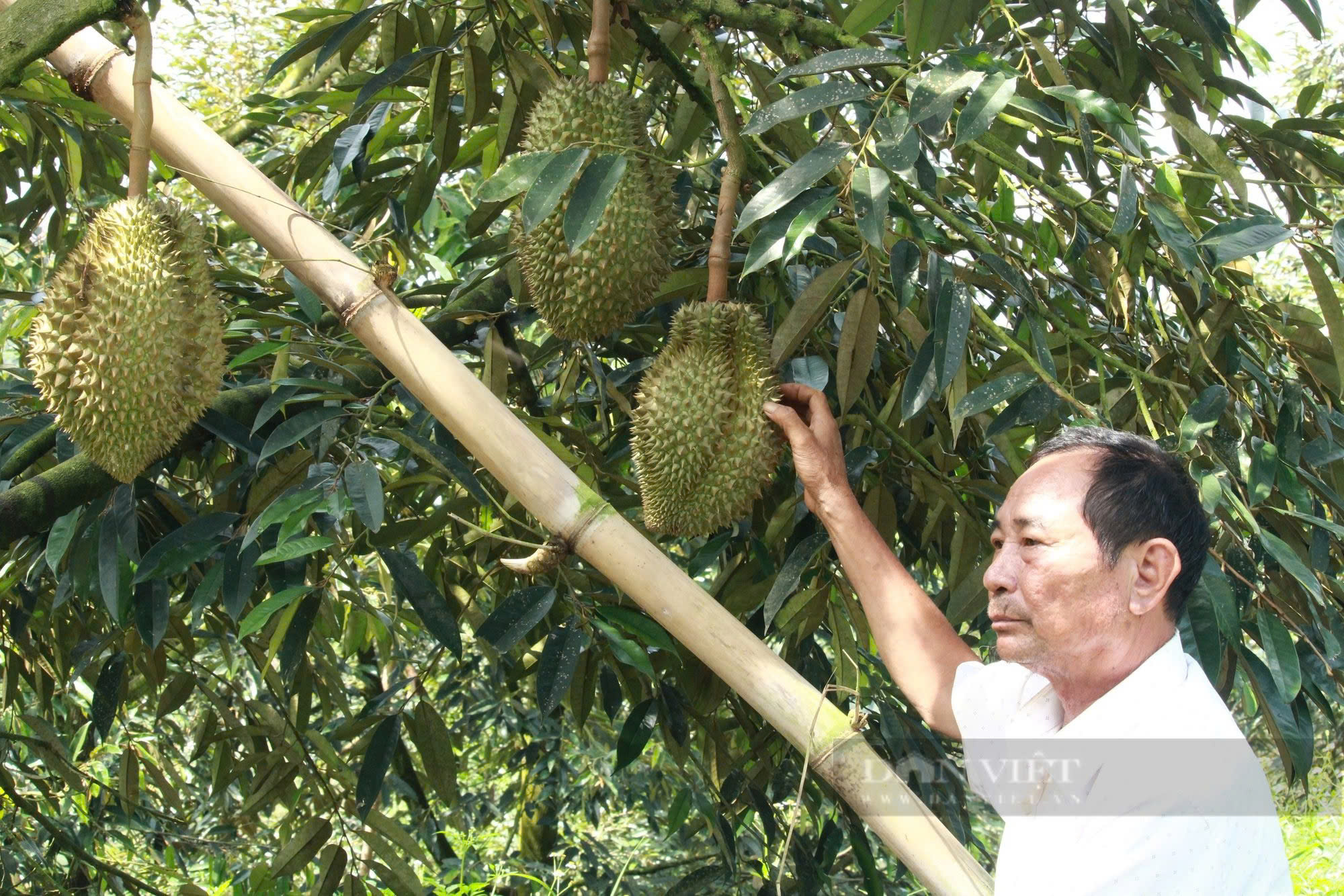 Công tác dân vận góp phần vào kết quả thực hiện Chương trình phát triển kinh tế - xã hội vùng đồng bào dân tộc thiểu số và miền núi tỉnh Khánh Hòa giai đoạn 2021 - 2025, định hướng đến năm 2030