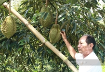 Công tác dân vận góp phần vào kết quả thực hiện Chương trình phát triển kinh tế - xã hội vùng đồng bào dân tộc thiểu số và miền núi tỉnh Khánh Hòa giai đoạn 2021 - 2025, định hướng đến năm 2030