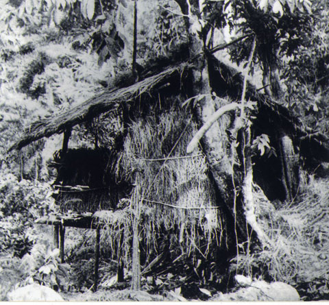 Chuyển hướng chỉ đạo chiến lược của Đảng qua Hội nghị Trung ương 8 (5/1941): Tầm nhìn, trí tuệ và bản lĩnh trong những thời khắc quyết định của lịch sử
