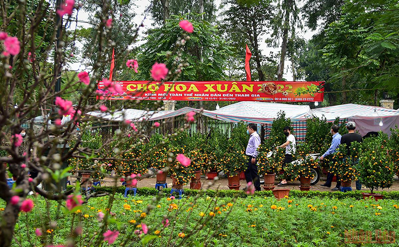 Vui đón Tết bình an
